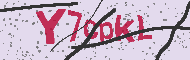 Güvenlik Kodu
