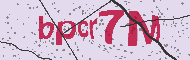 Güvenlik Kodu